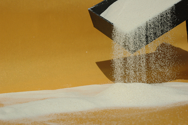 Semola di grano duro