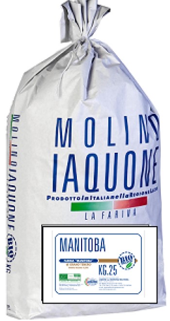 Harina di Grano Tenero Manitoba Bio
