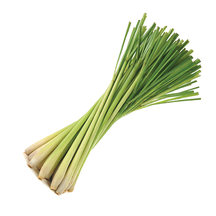 Lemon Grass