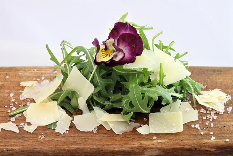 Queso duro en Escamas Grandes (estilo grana padano)