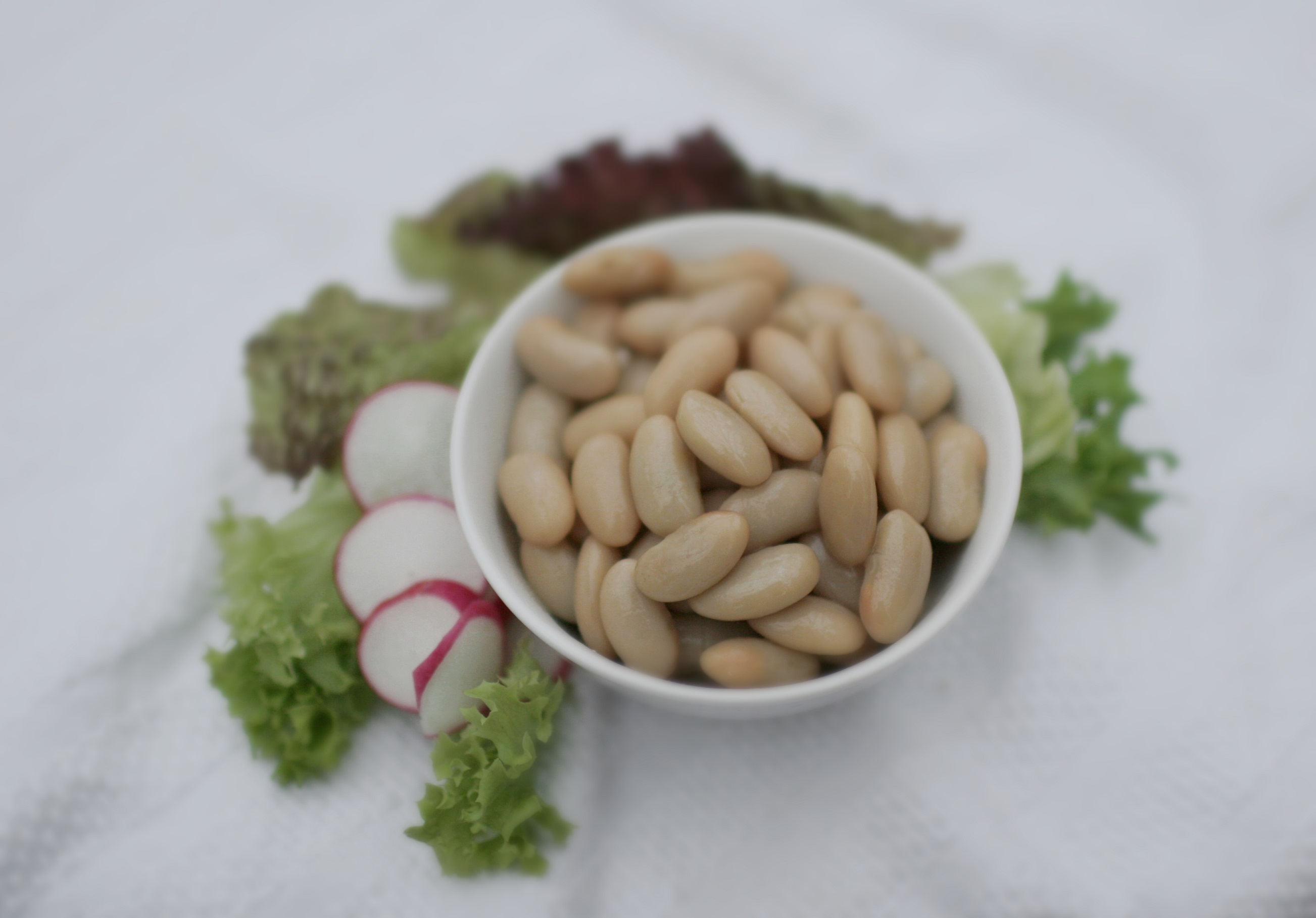 Feijão Brancas Cozidas (cannellini beans) em conserva