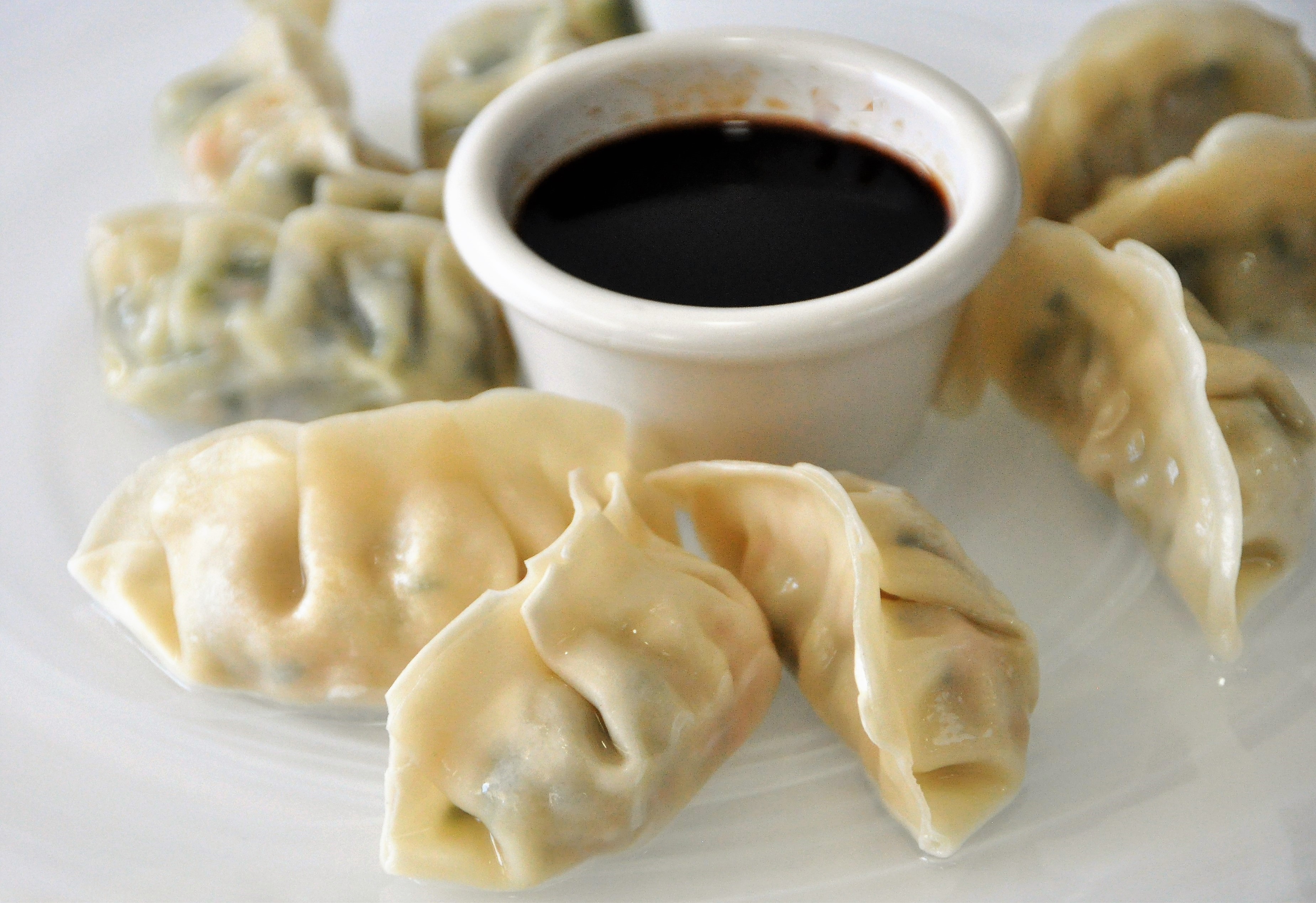 Gyoza - Dumpling Vegetal - 25 gr