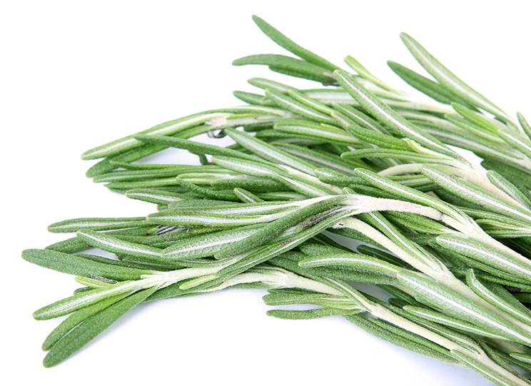 Rosemary