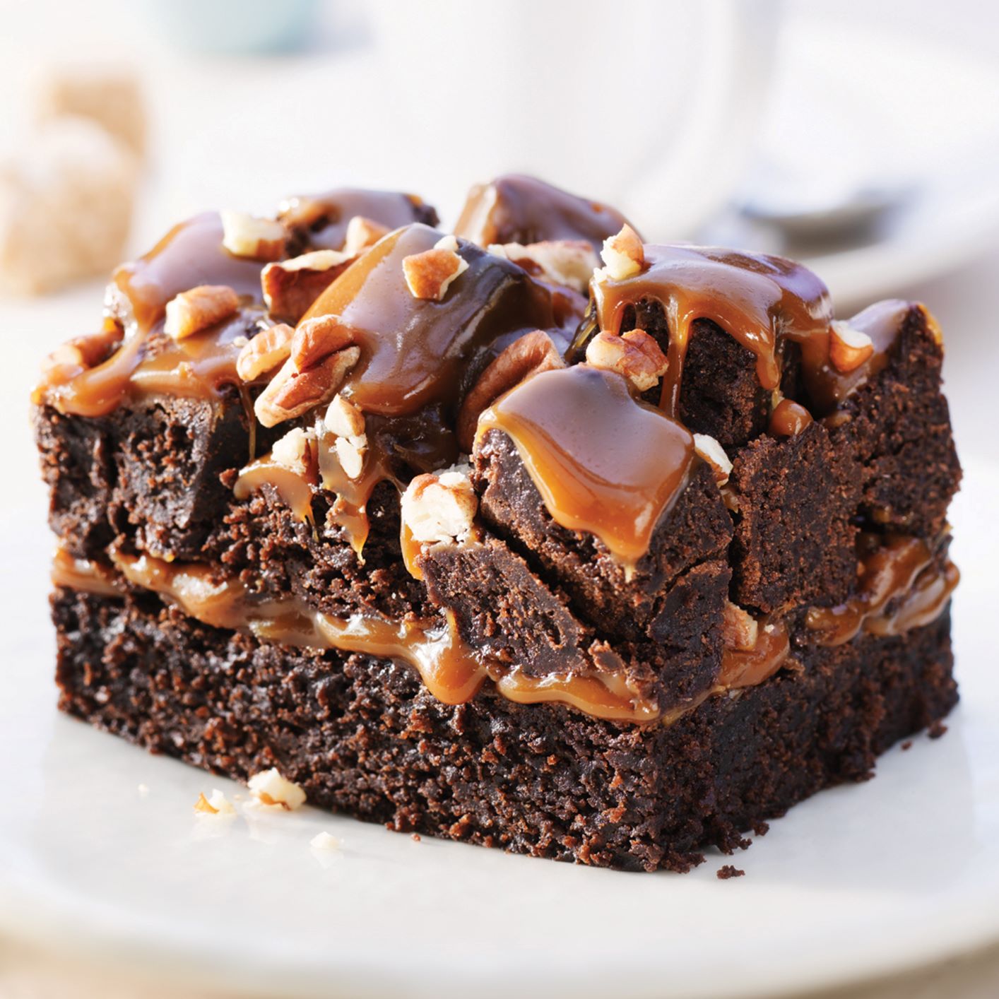 Brownie Rockslide - Rocas de Brownie U.S.A.