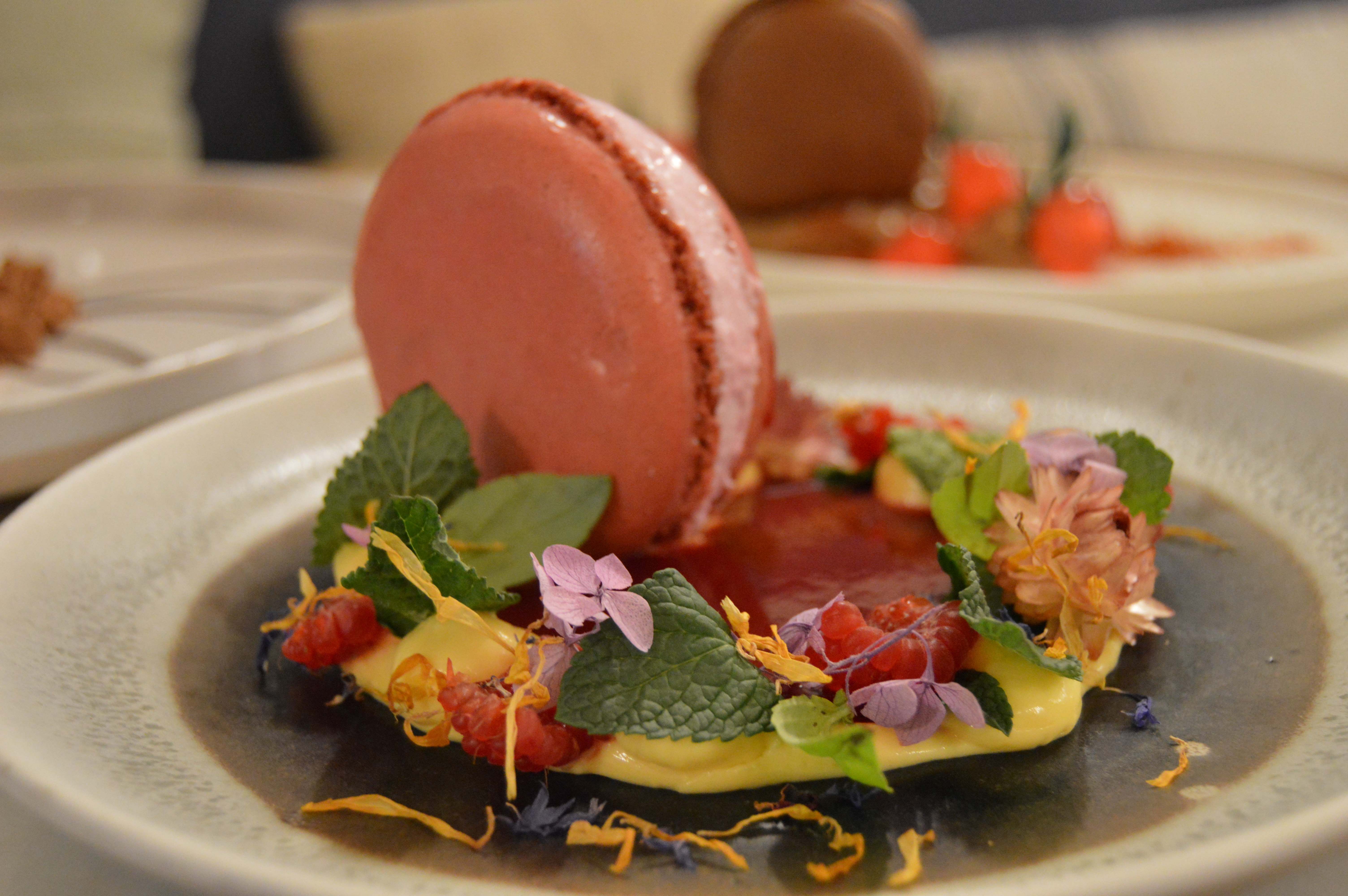        Macaron gelato al lampone 