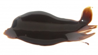 Sirope de Chocolate. garrafa com sistema antigoteo.