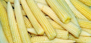 Mazorquitas de Maiz