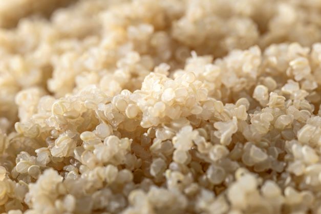 Quinoa Blanca