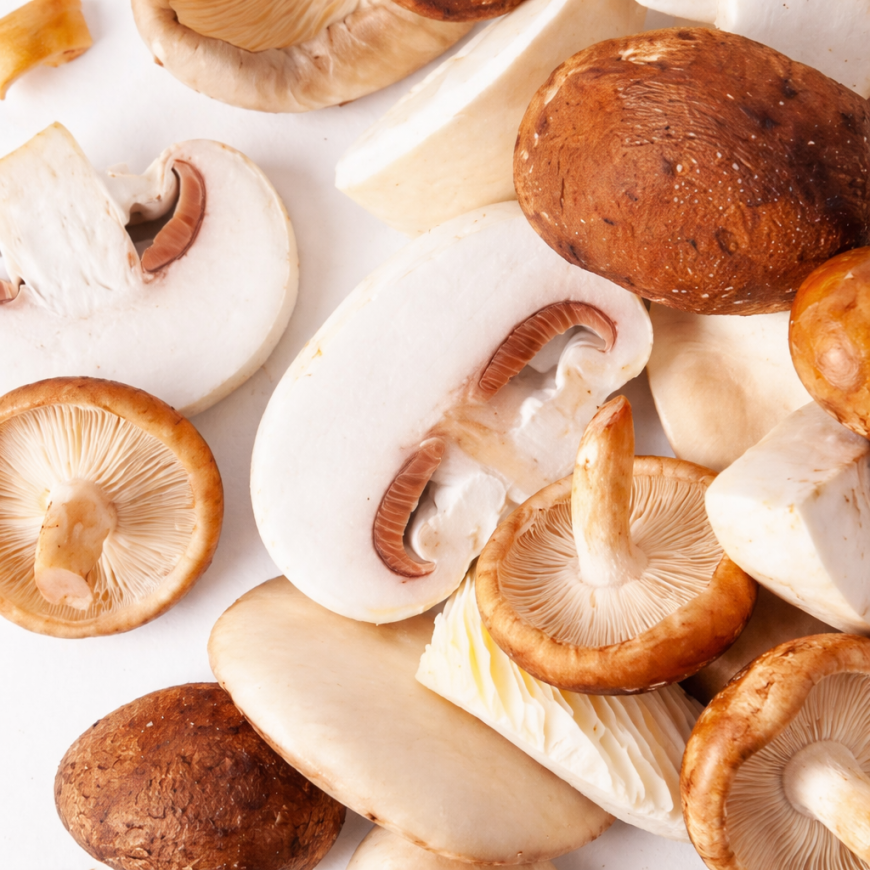 Mushrooms Boletus mix.