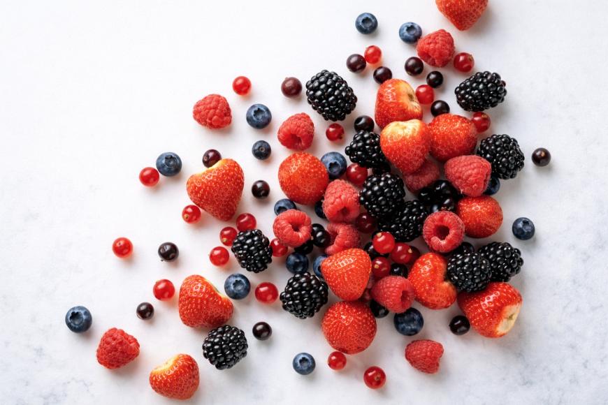 Fruits of the Forest